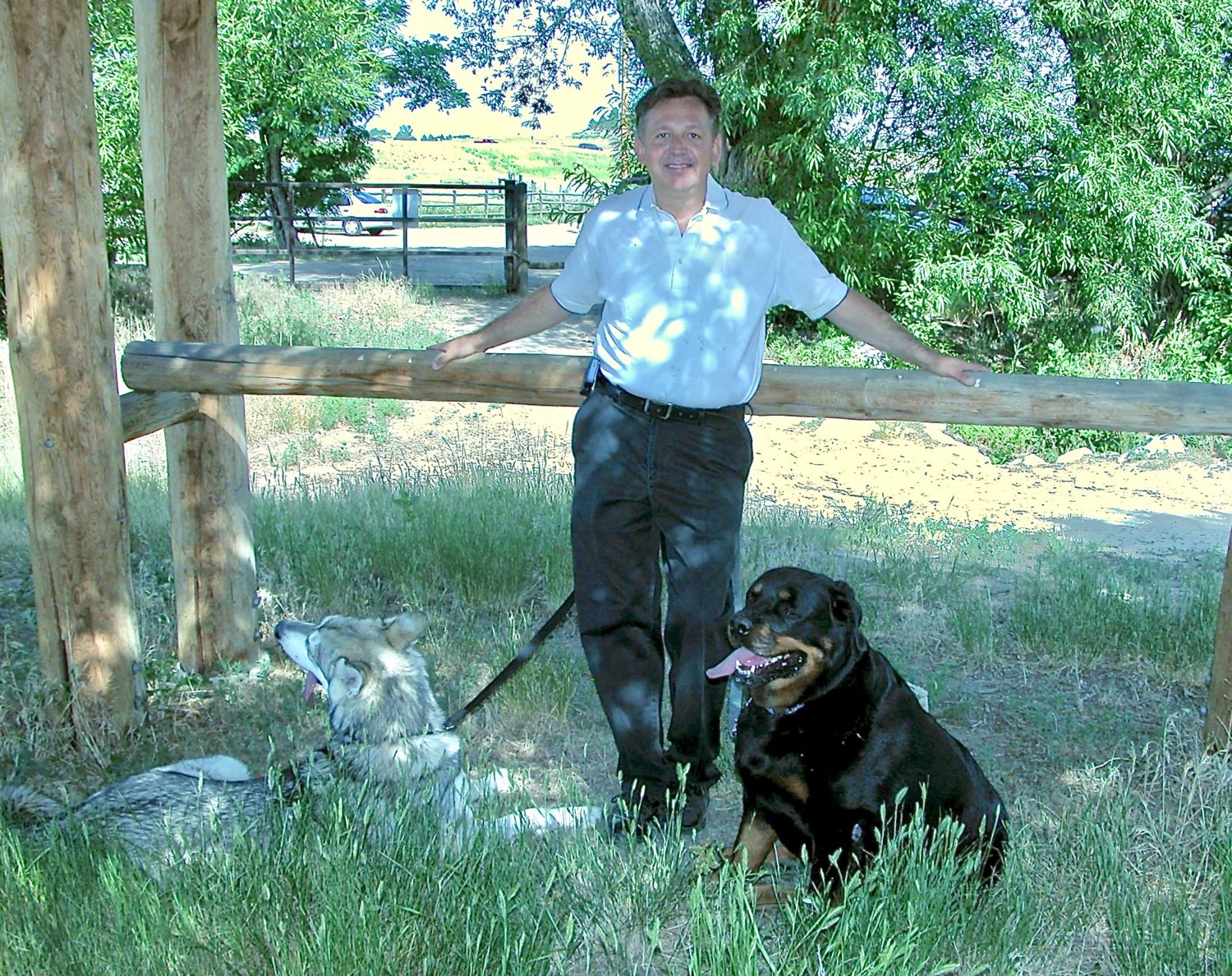 Dog Trainer Denver, CO Denver Dog Trainers that Care